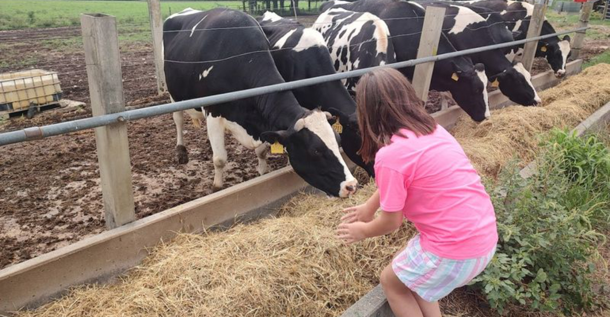 This legendary South Carolina creamery will make you feel like a kid all over again