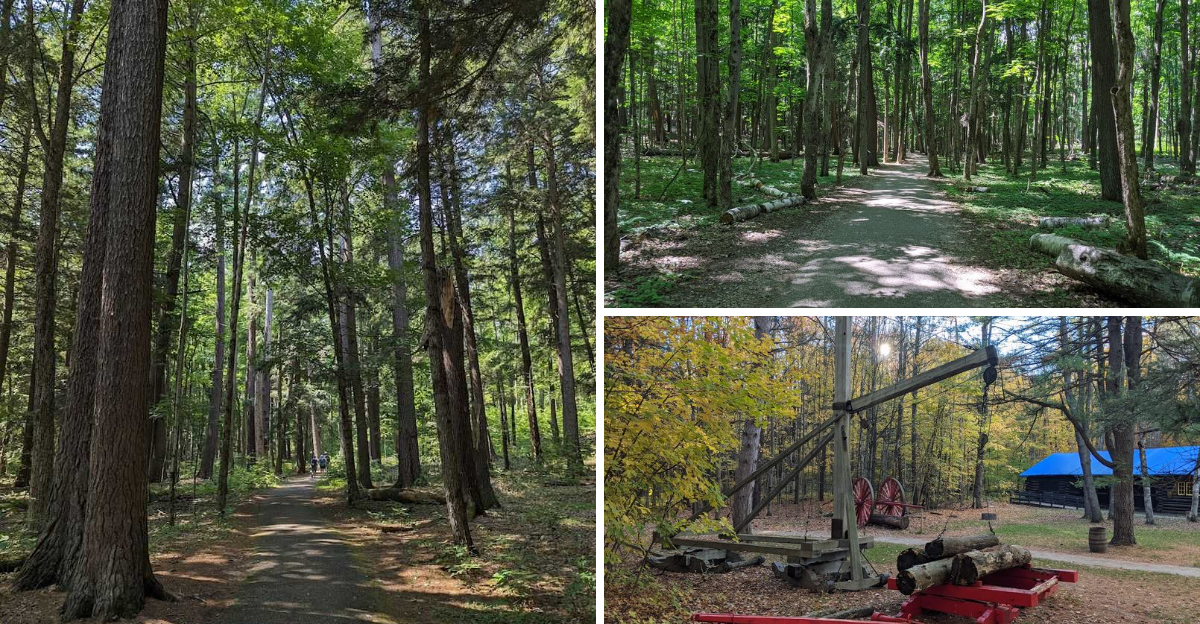 This little known 9762 acre Michigan state park feels almost completely untouched