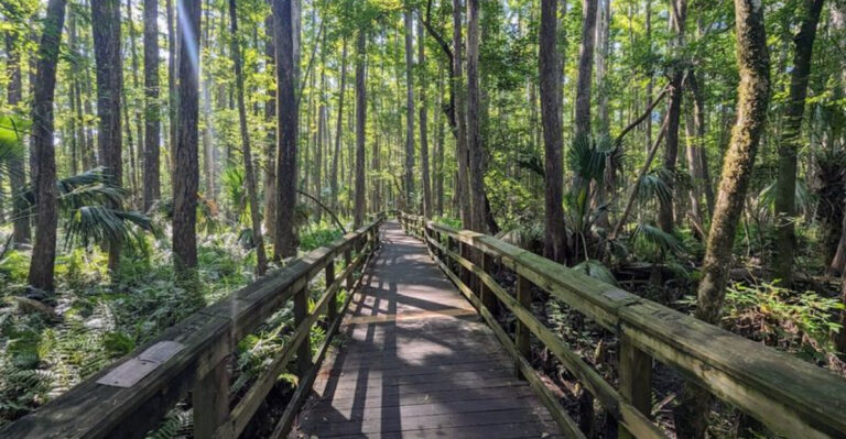 This little-known Florida state park is more fascinating than you’d expect