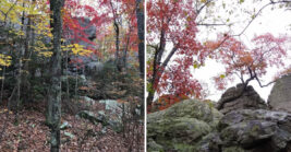 This little-known Georgia hike features jaw-dropping rock formations that almost don’t look real