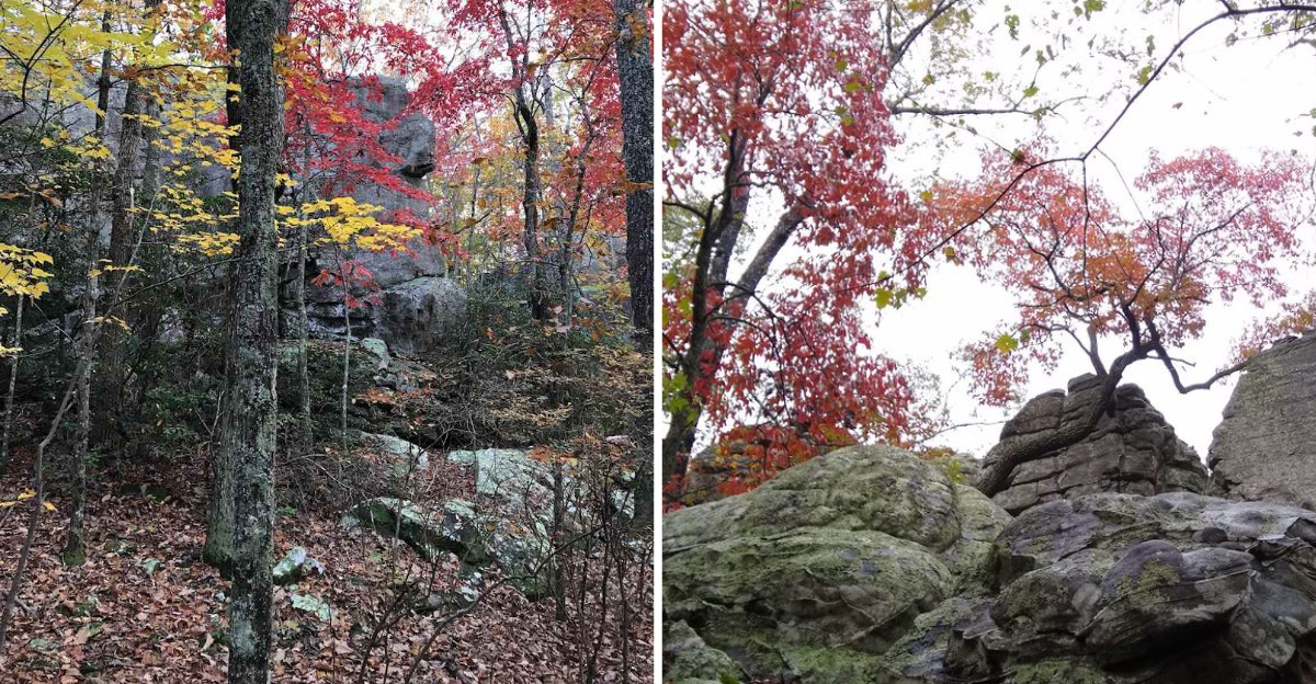 This little known Georgia hike features jaw dropping rock formations that almost dont look real