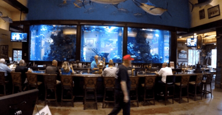 This magical Virginia restaurant lets you dine surrounded by colorful fish