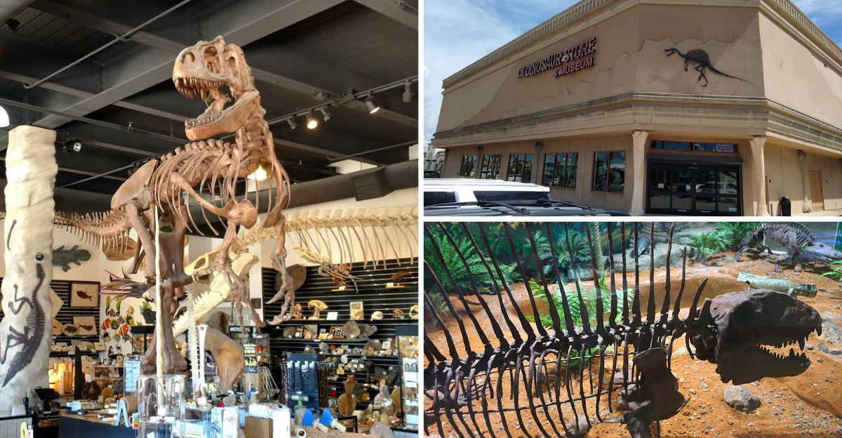 This massive Florida museum takes visitors on an unforgettable journey through prehistoric times