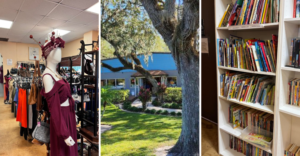 This massive Florida thrift store has bargains so unbelievable youll need a bigger trunk