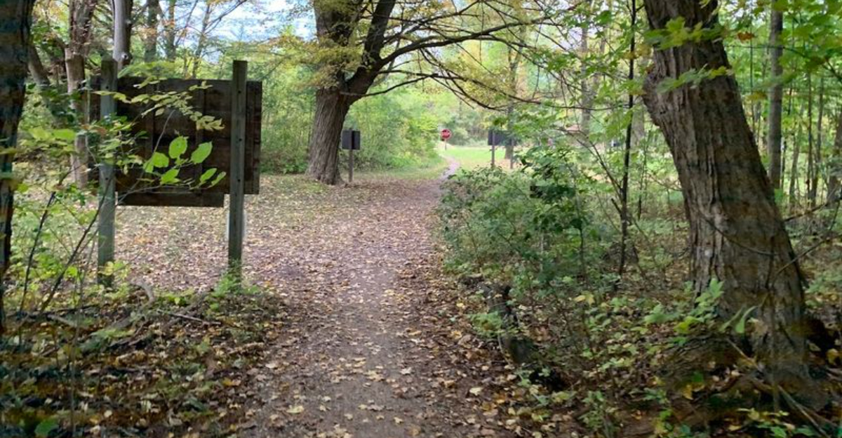 This mysterious 3.5 mile trail in Michigan feels like something out of the Twilight Zone