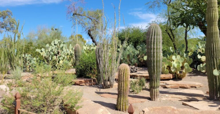 This postcard-worthy Nevada botanical garden is unlike anything you’ve ever seen before