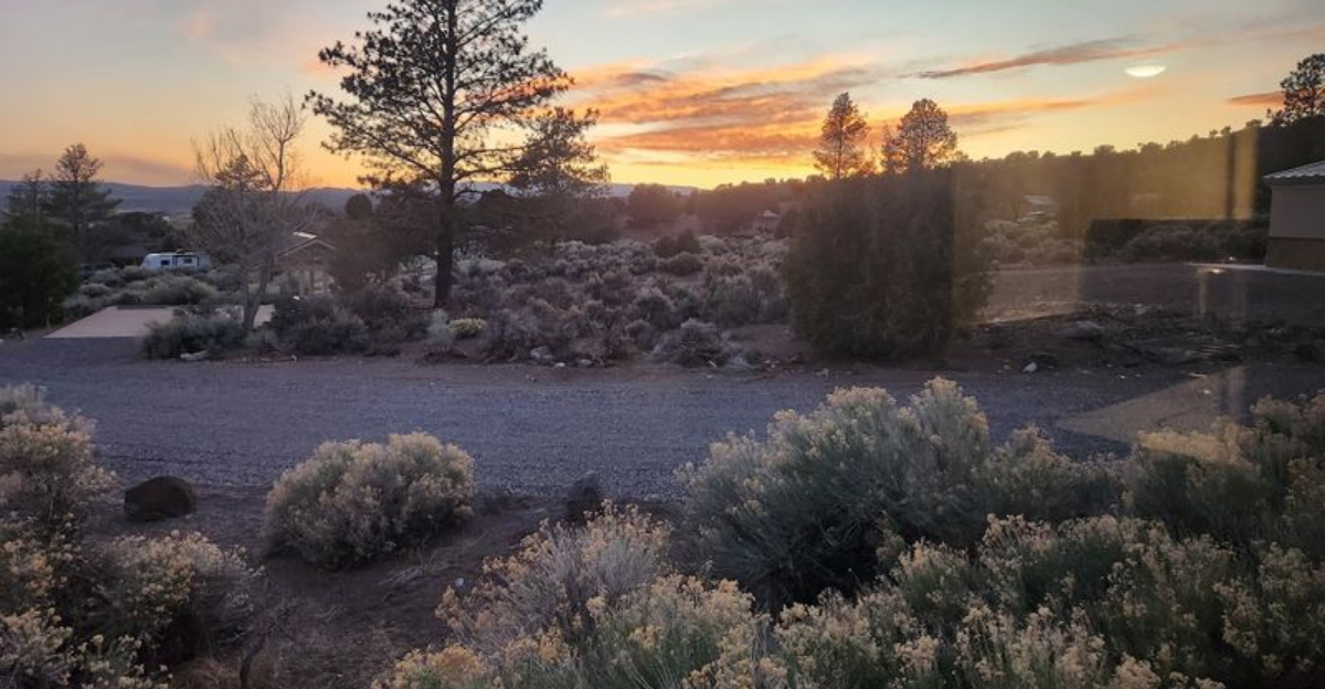 This postcard worthy Nevada state park is a dream destination for nature lovers