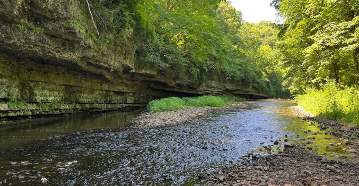 This remote Illinois state park is the perfect place to leave stress behind
