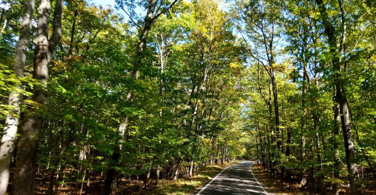 This scenic 20 mile drive in Michigan feels almost dreamlike