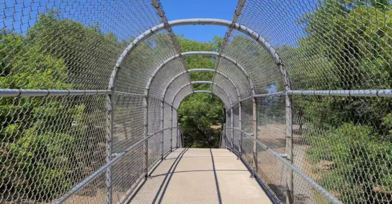 This small Michigan town is home to one of the Midwest’s most incredible state parks