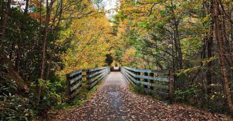 This small Virginia town is packed with more outdoor adventures than almost anywhere else in the state