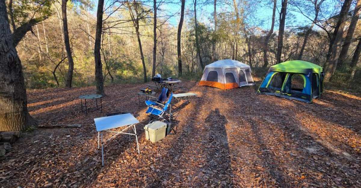 This small but stunning Georgia state park is too beautiful to keep hidden