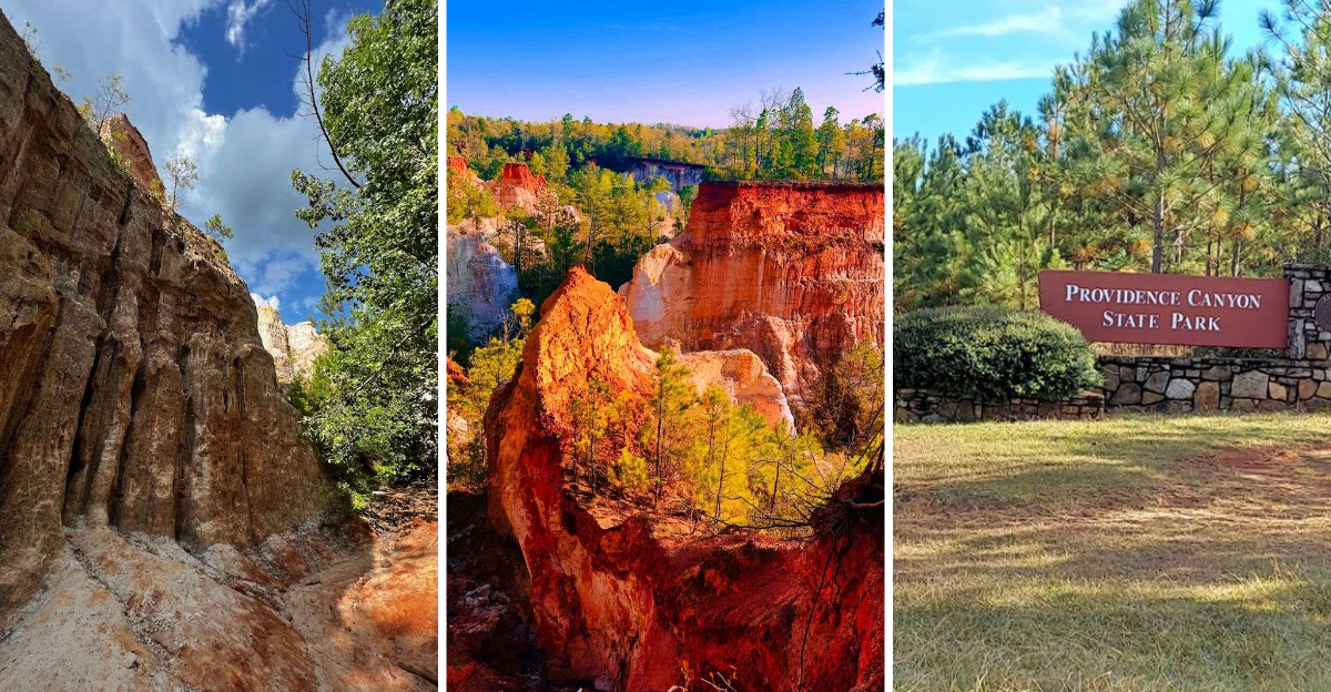 This stunning 1003 acre Georgia state park looks like it belongs on another planet