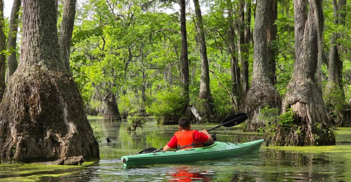 This stunning North Carolina state park is so beautiful it almost doesnt feel real