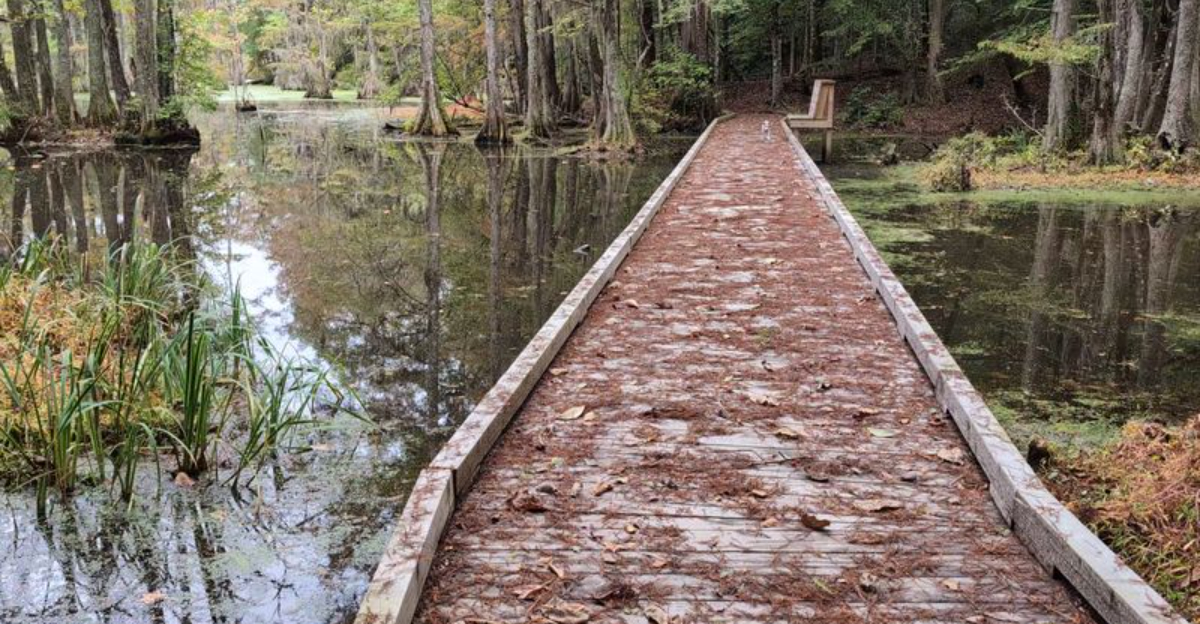 This stunning North Carolina state park is so beautiful it almost feels unreal