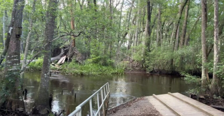 This stunning South Carolina state park is one you’ll wish you had discovered sooner