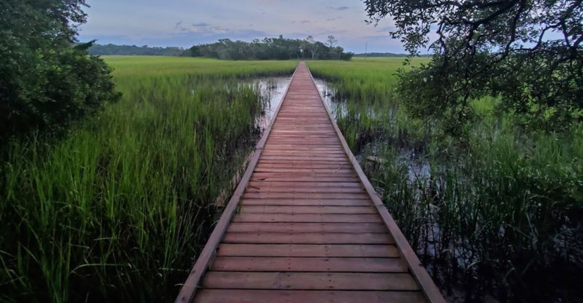 This stunning South Carolina state park looks like something from a fairytale