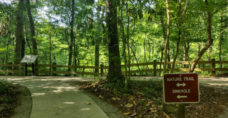 This surreal 67-acre Florida state park feels like stepping into a dream