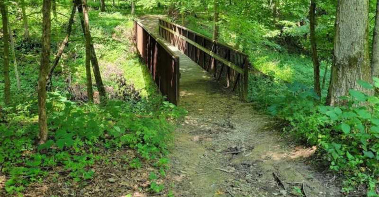This tiny Illinois state park hides one of the Midwest’s most breathtaking natural wonders