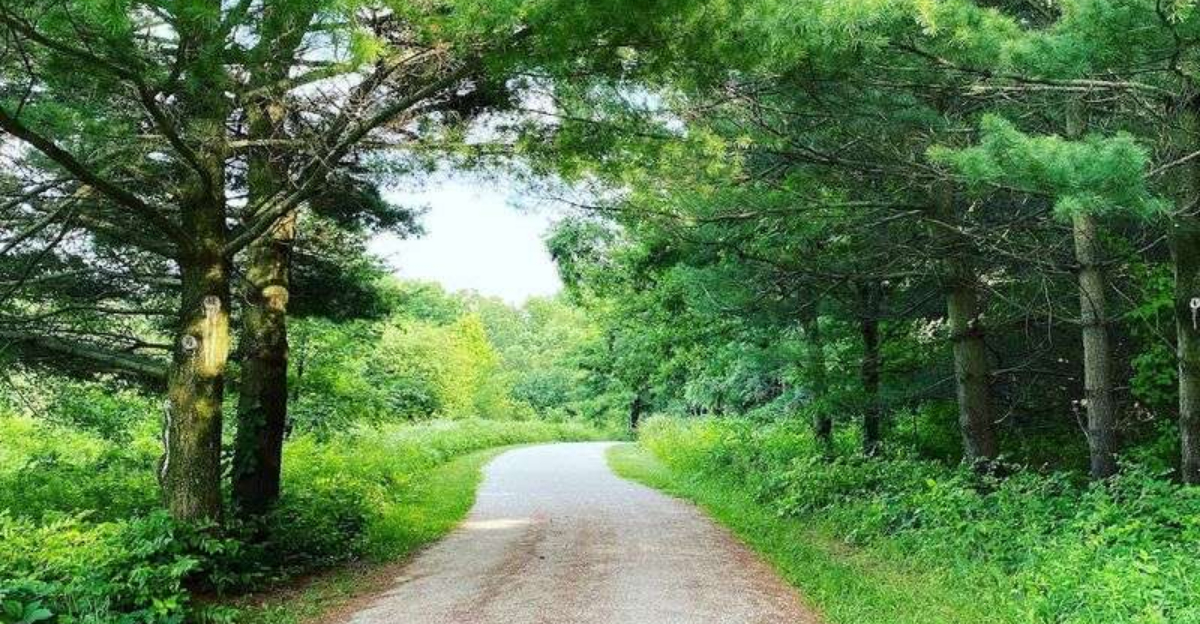 This tiny Illinois state park hides one of the states most amazing natural wonders