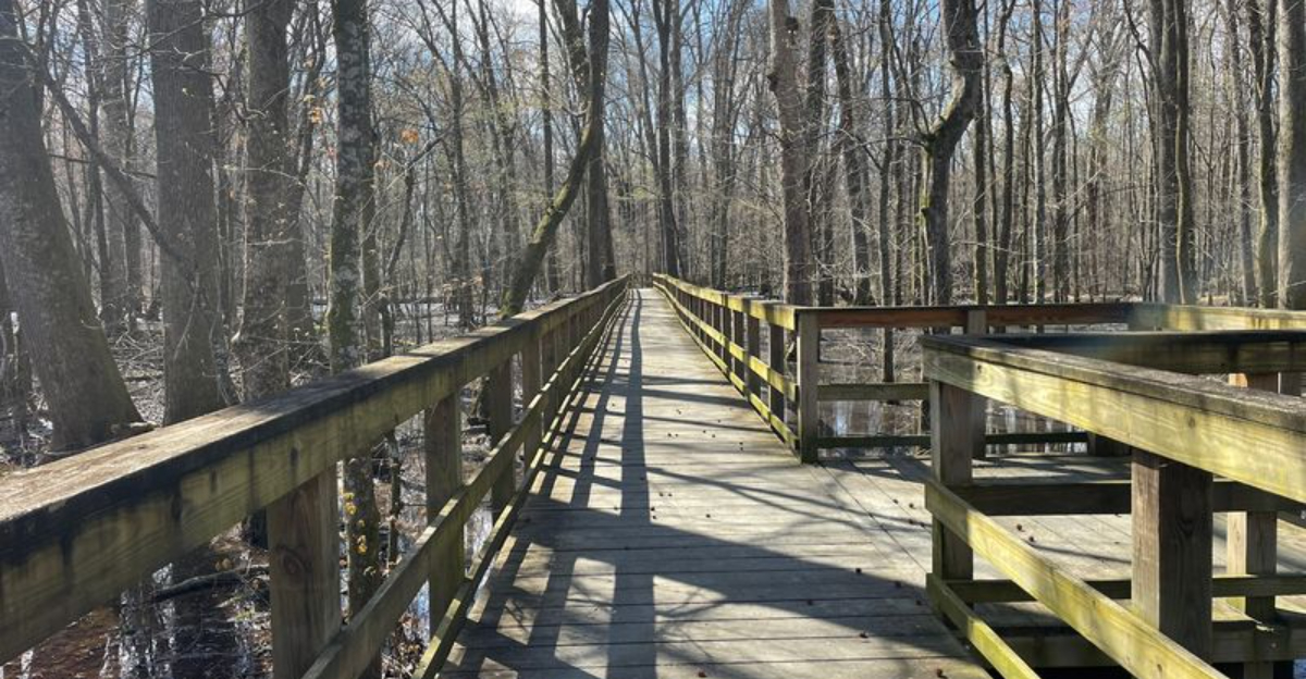 This tiny Tennessee state park is far too beautiful to stay hidden