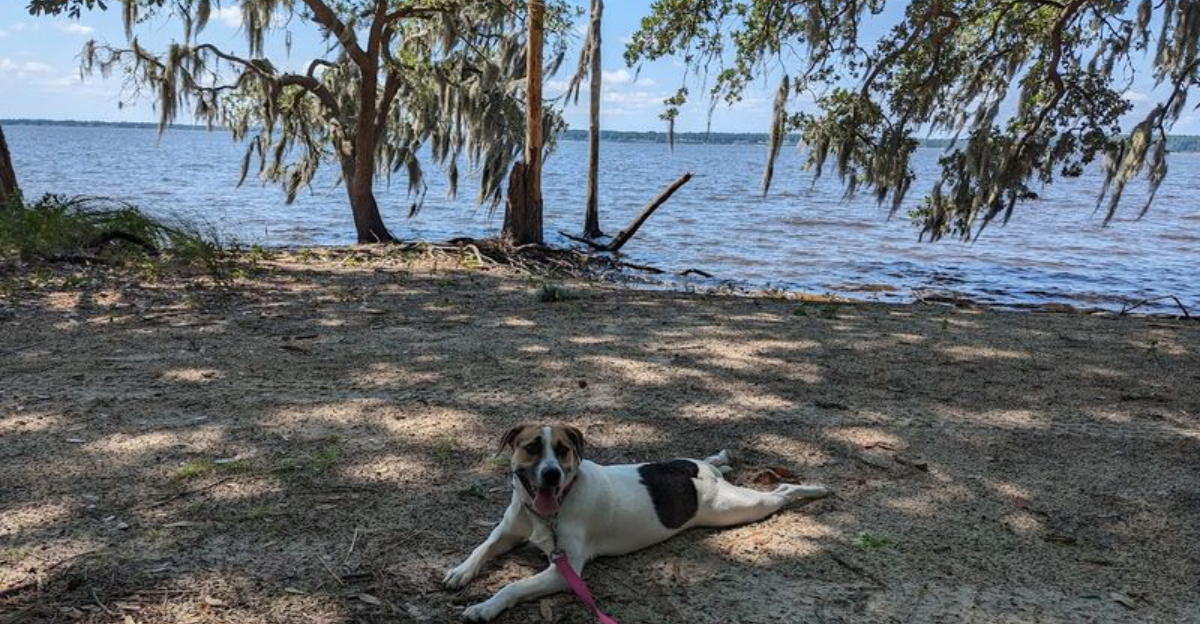 This underrated North Carolina state park is so hidden even many locals dont know it
