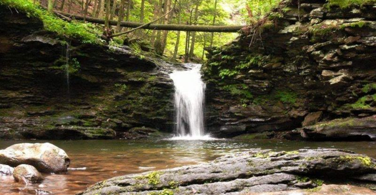 This underrated Pennsylvania state park is so quiet, it feels almost private