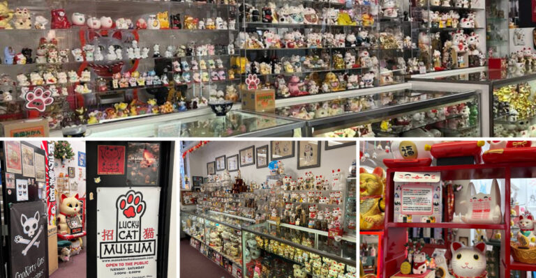 This wonderfully bizarre cat museum in Ohio is one of the strangest attractions around