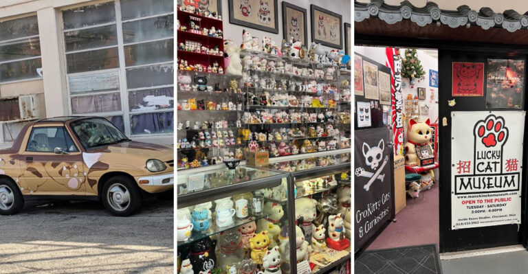 This wonderfully bizarre cat museum in Ohio is one of the strangest attractions you’ll ever see