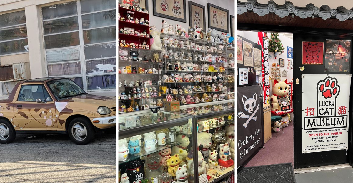 This wonderfully bizarre cat museum in Ohio is one of the strangest attractions youll ever see