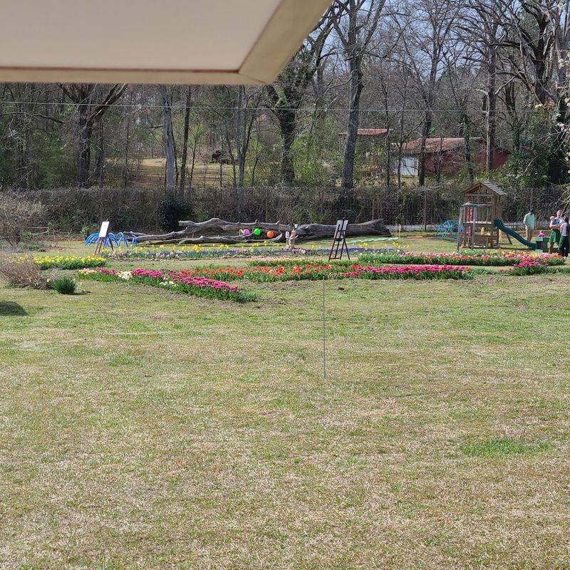 Thoughtfully Designed Spaces for Families Thoughtfully Designed Spaces for Families