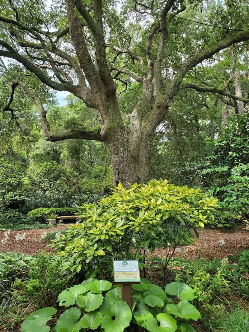 Thoughtfully Labeled Plants That Educate Every Visitor