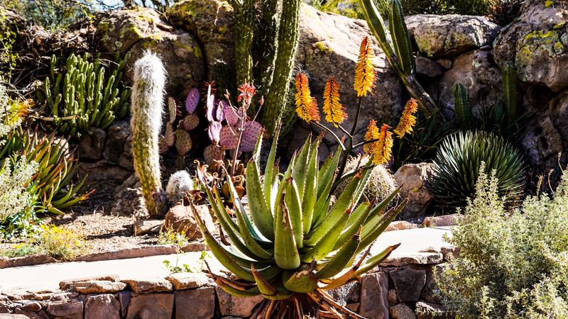 Thousands of Plant Varieties from Around the World