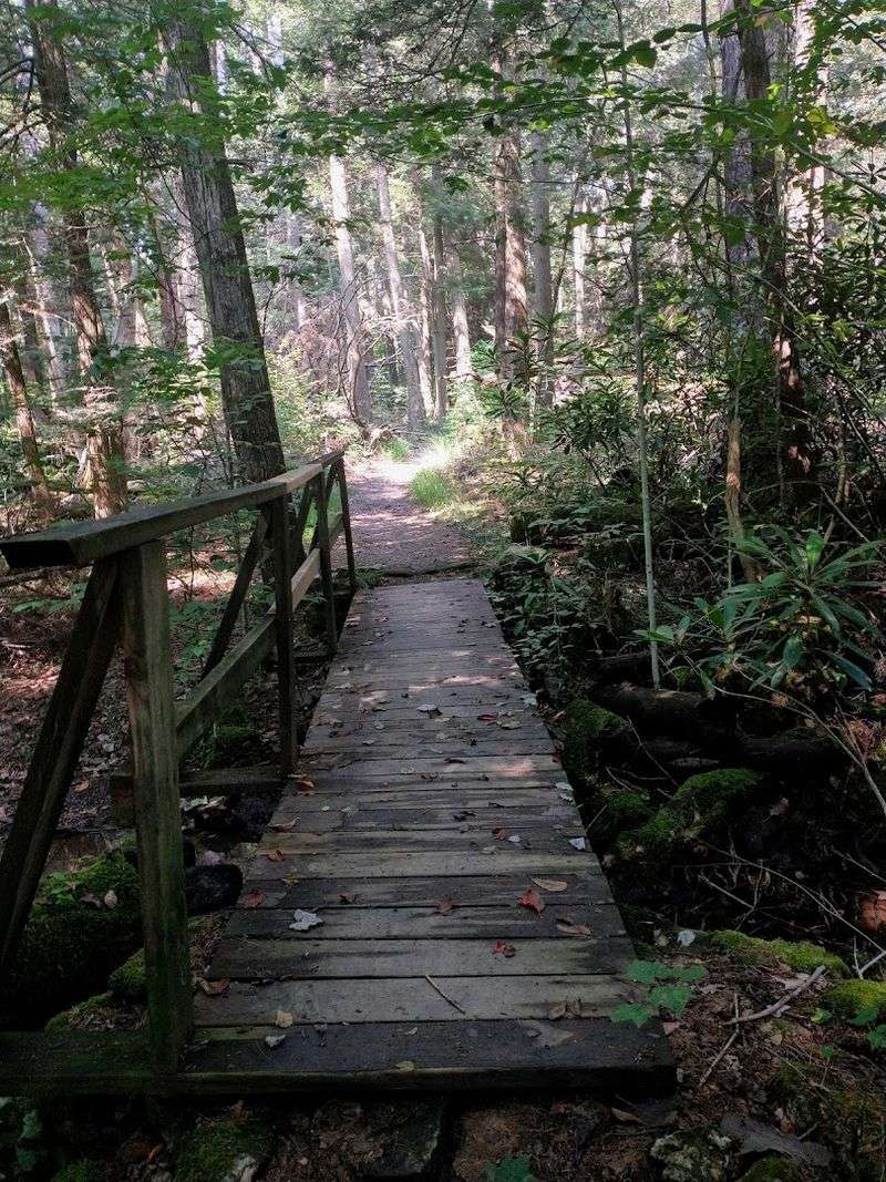 Three Scenic Wooden Footbridges