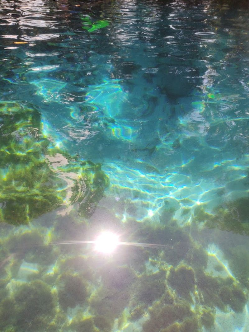 Three Sisters Springs Wildlife Refuge