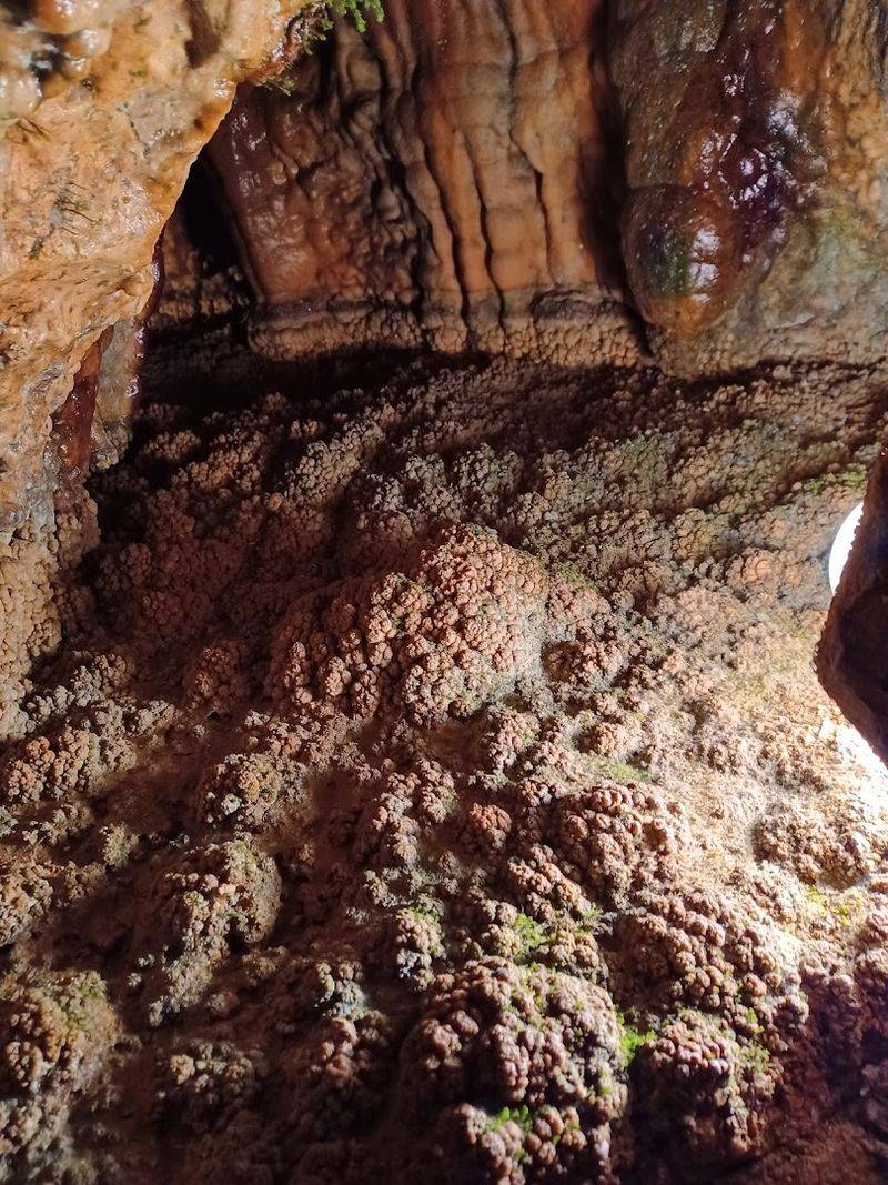 Tight Passages and Optional Sections for the Brave