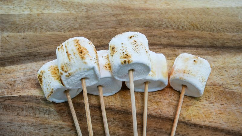 Toasted Marshmallows