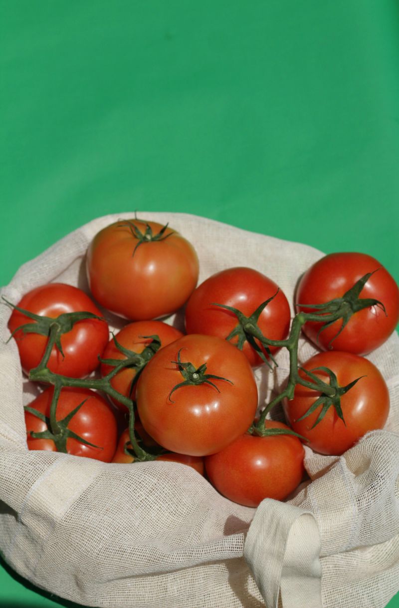 Tomatoes Fresh