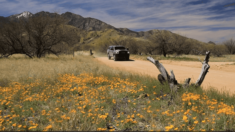 Tombstone Canyon Road