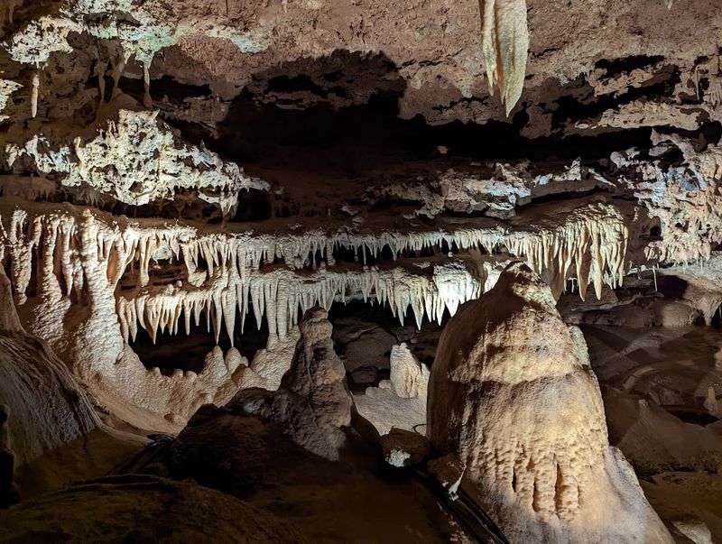 Tour Options for Every Type of Explorer