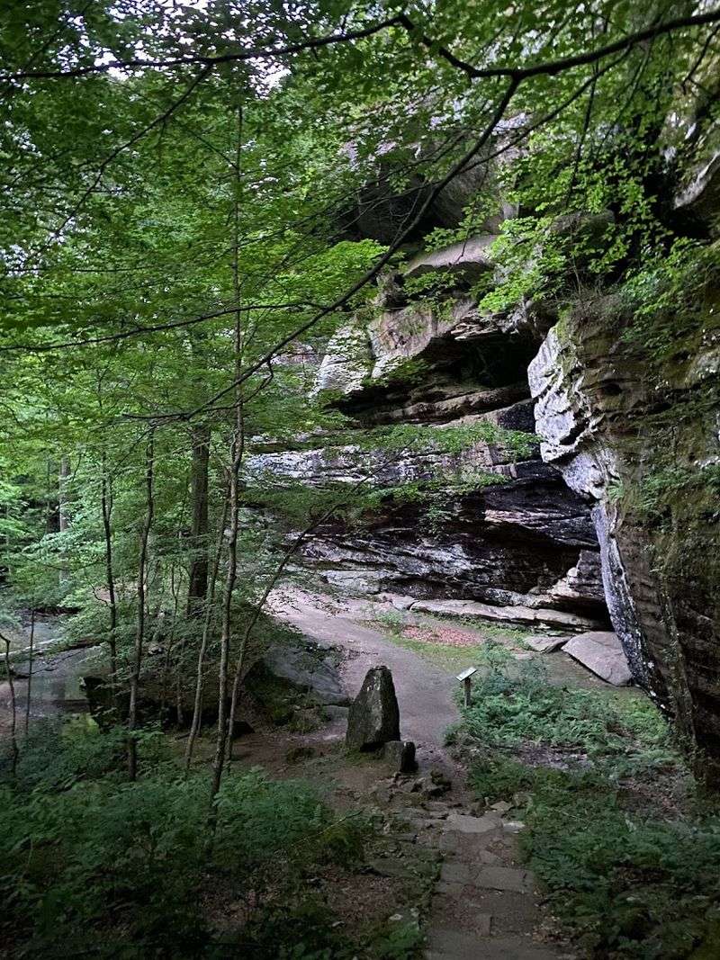 Towering Sandstone Bluffs That Redefine 