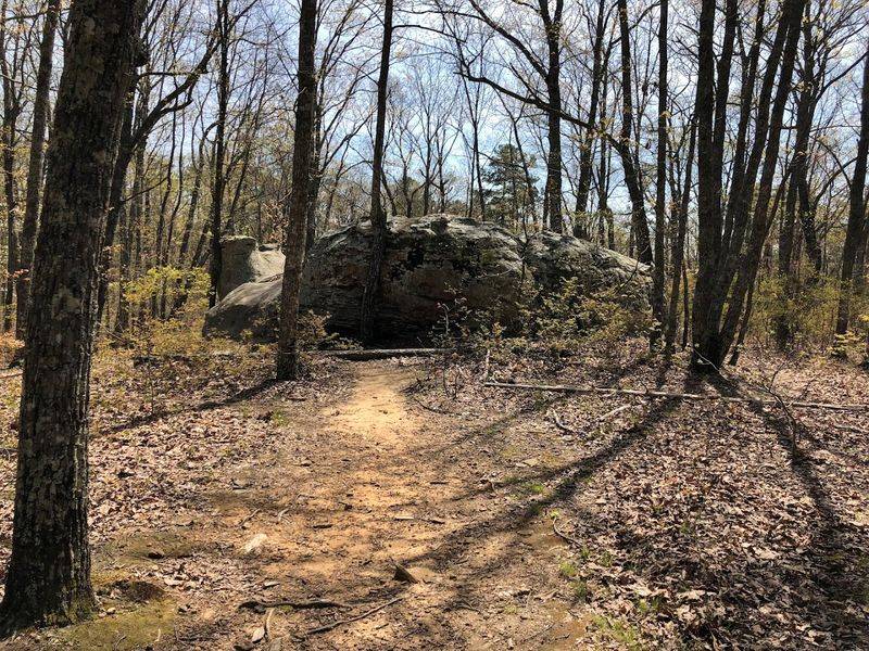 Trail Difficulty and Distance for Every Type of Hiker