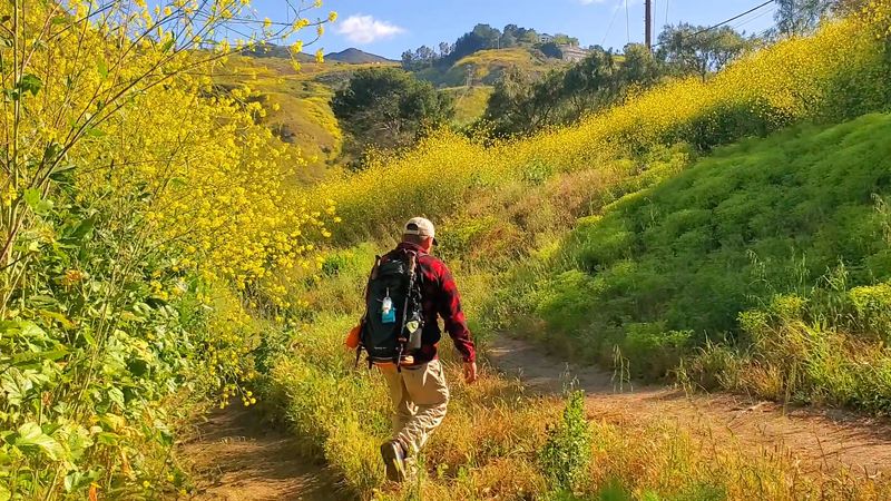 Trail Difficulty and What Kind of Hiker This Is Best For