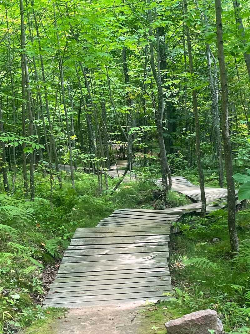 Trail Features Along the Way Trail Features Along the Way