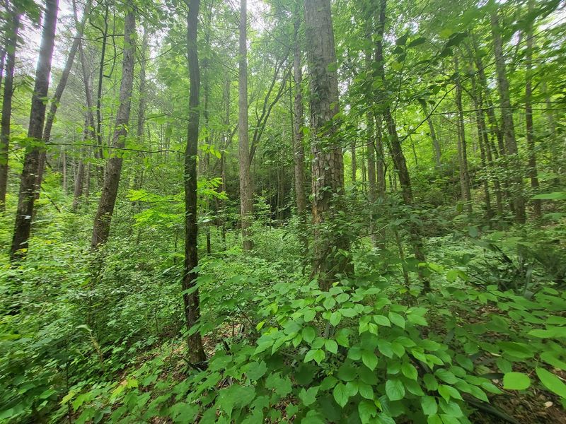 Trail Overview: What to Expect on the Hike In