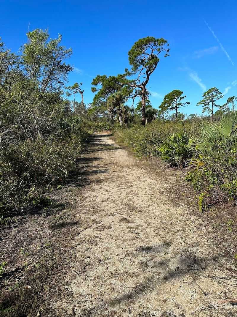 Trails Perfect for Hikers and Bikers Alike