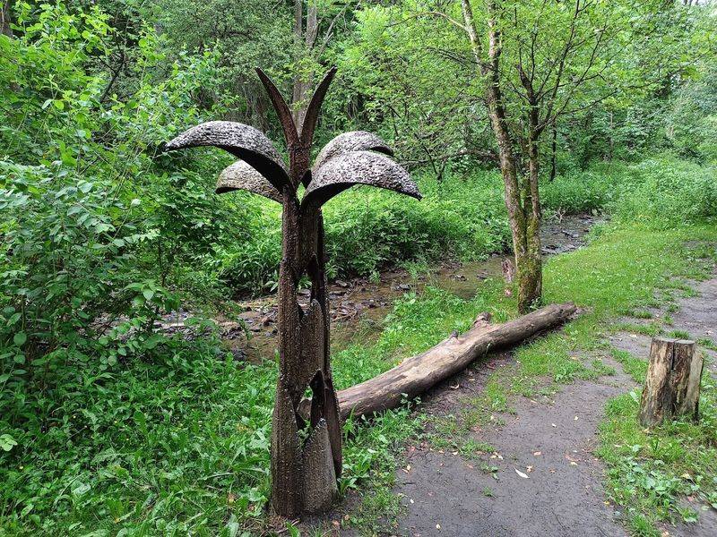 Trails That Wind Through Fields, Forests, and Peaceful Ponds