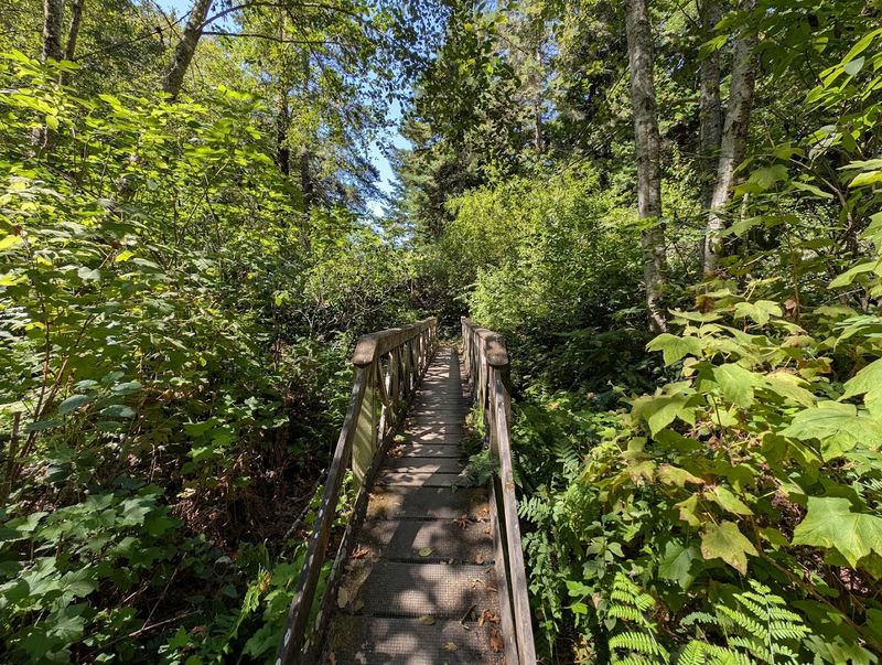 Trails for Every Skill Level