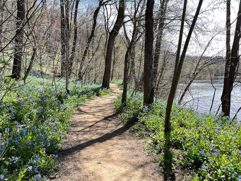 Trails for Every Skill Level and Interest