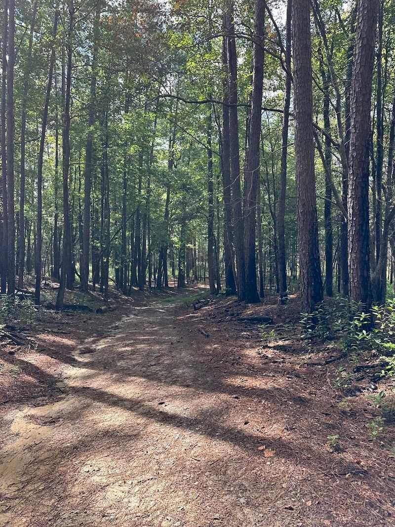 Trails for Every Skill Level